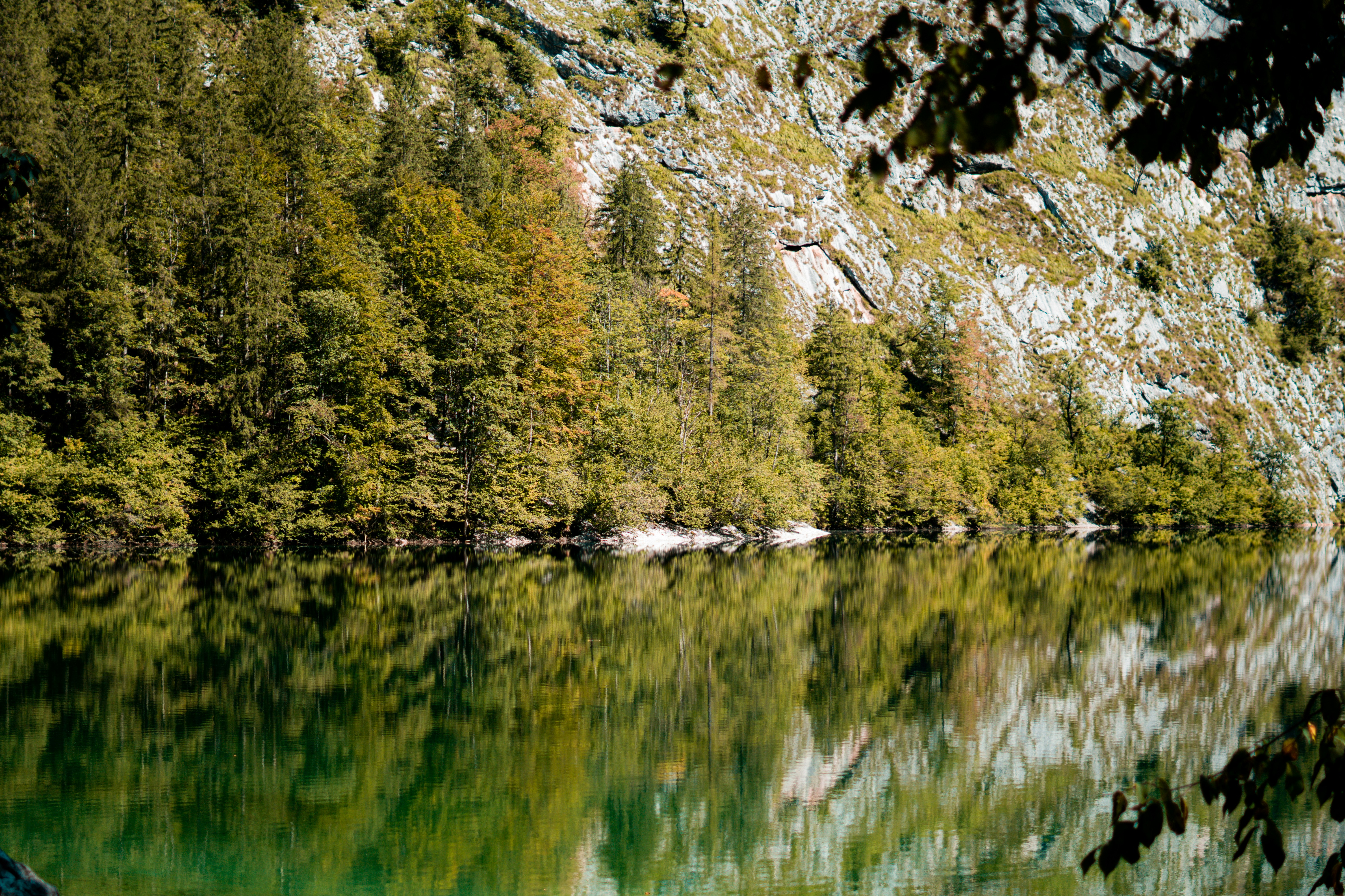 Photo by fanjatastisch