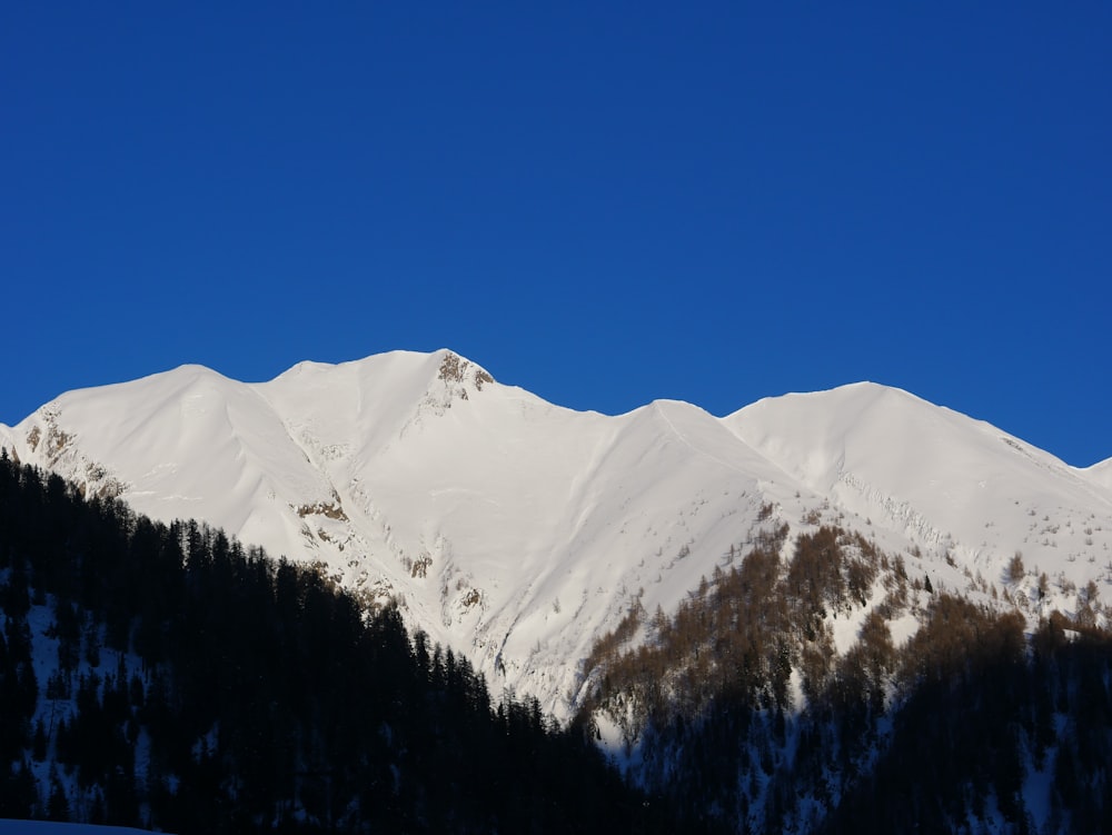 a snow covered mountain with a blue sky in the background