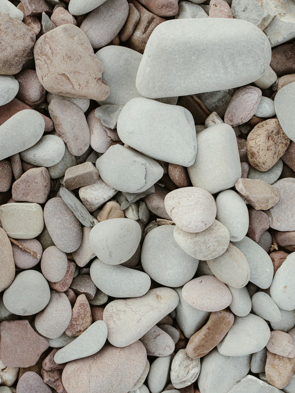 a bunch of rocks that are laying on the ground