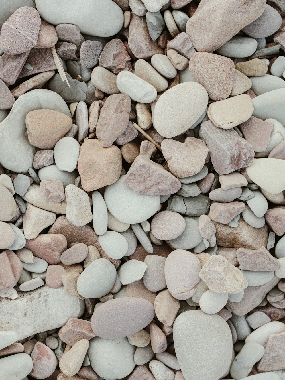 a close up of a bunch of rocks