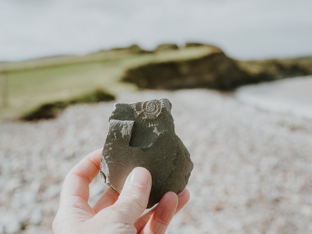 a person holding a rock in their hand