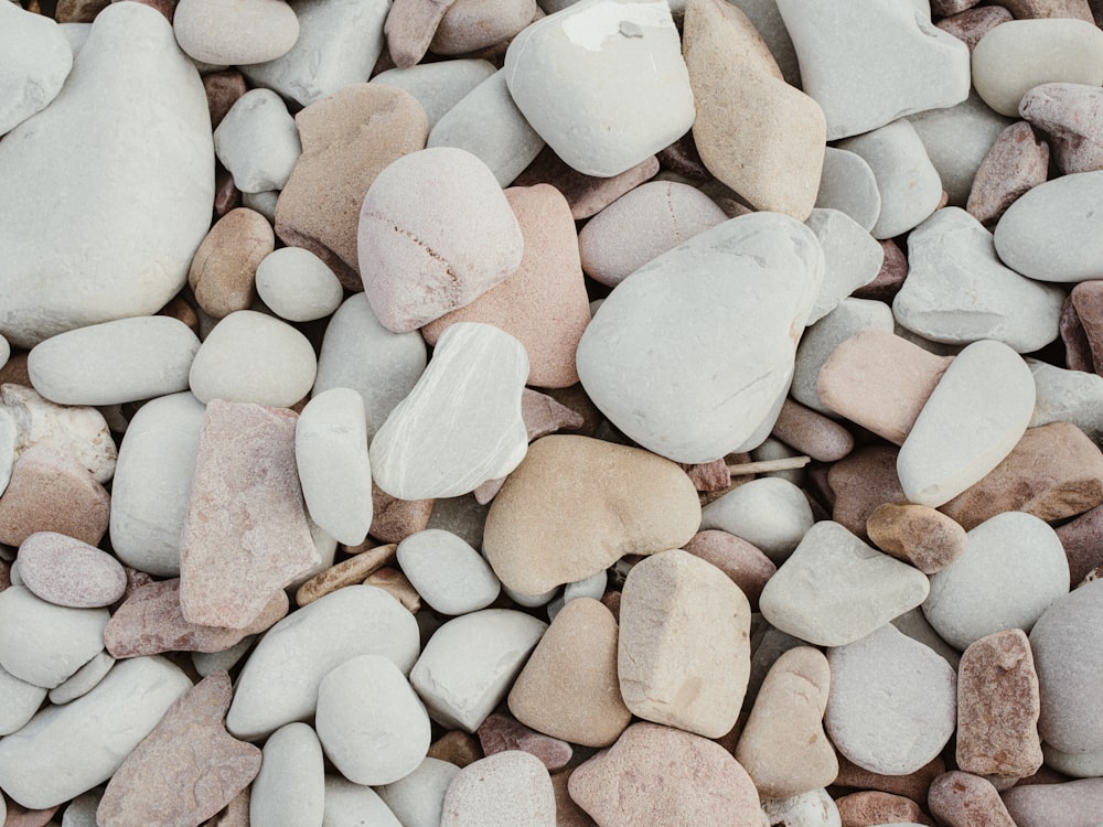 a bunch of rocks that are on the ground