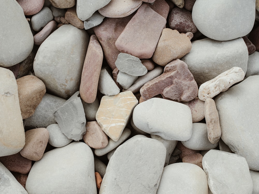 un tas de roches qui reposent sur le sol