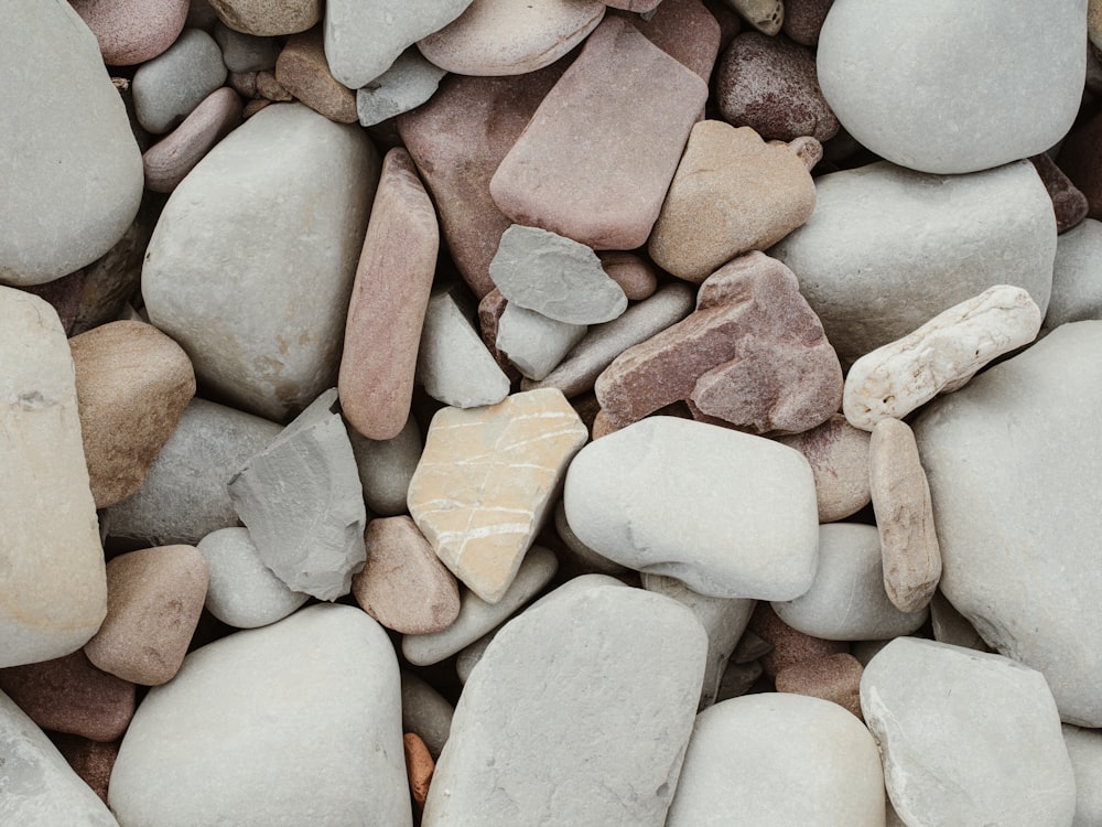 a bunch of rocks that are laying on the ground