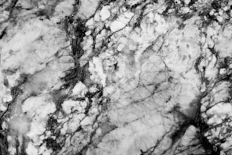 A close-up view of a marble surface with a complex pattern of veins and textures. The image showcases a mixture of light and dark areas, with intricate lines and swirls throughout.