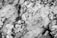 A close-up view of a marble surface with a complex pattern of veins and textures. The image showcases a mixture of light and dark areas, with intricate lines and swirls throughout.