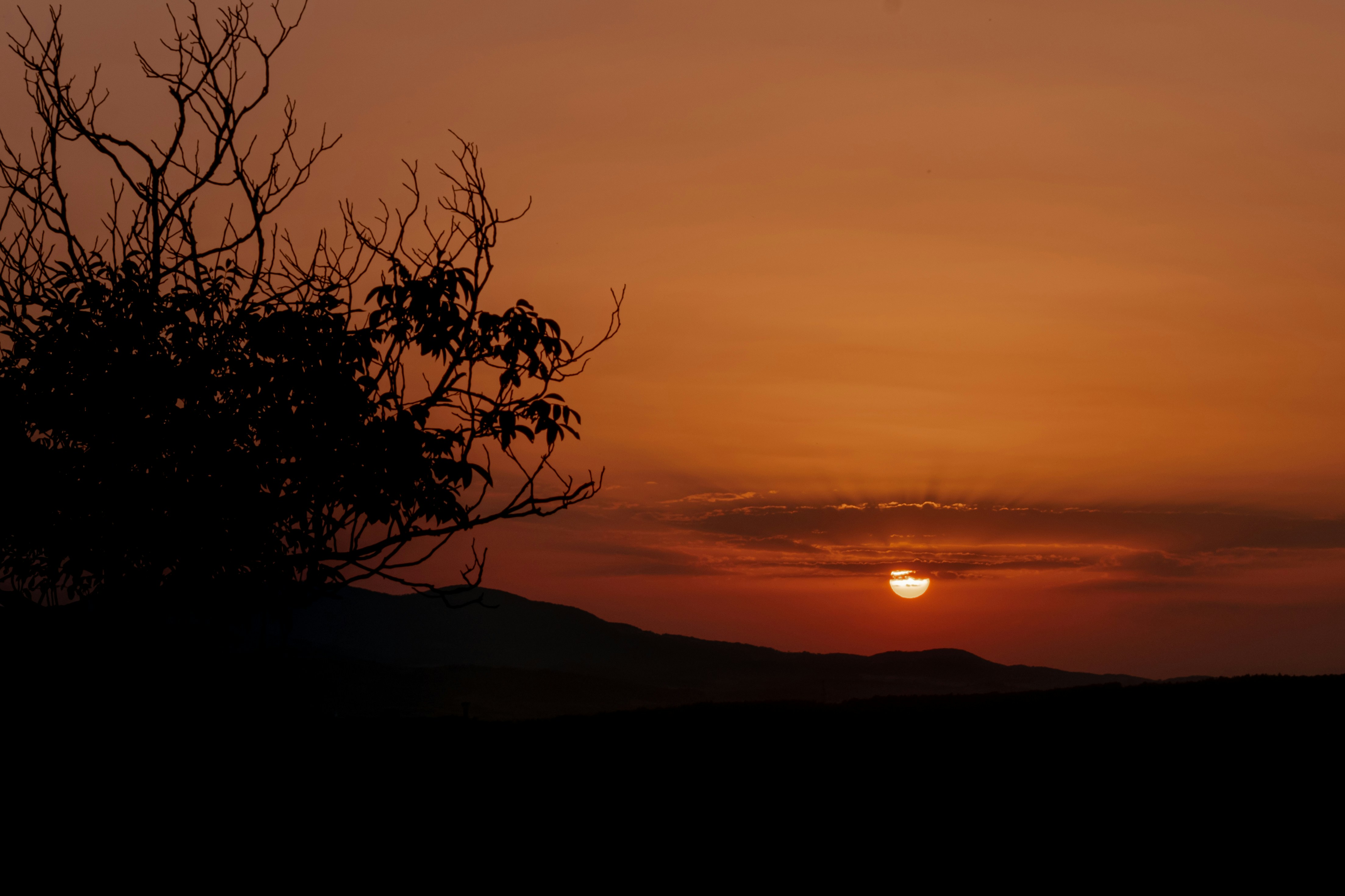 Photo by ioanaindrephotography