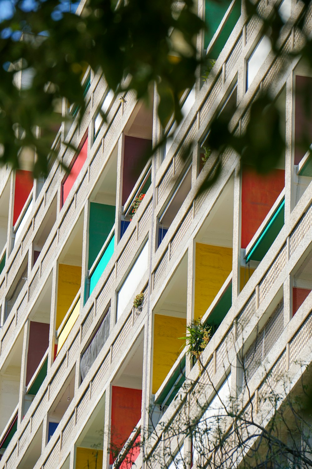 a multicolored building with a tree in front of it