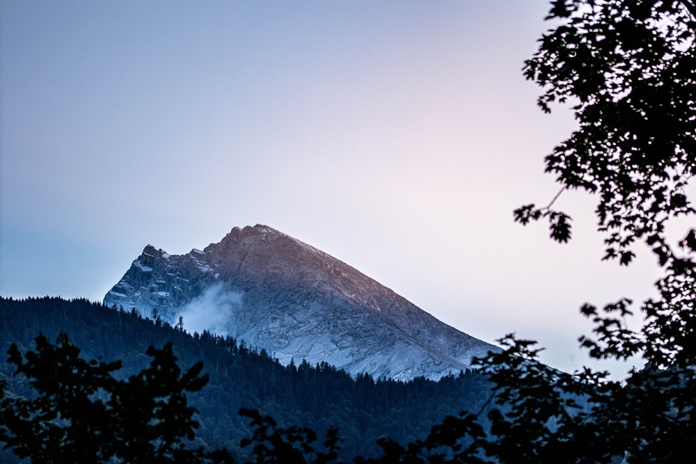 a snow covered mountain with trees in the foreground