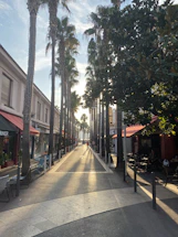 A warm, inviting Mediterranean street scene in Marbella with sunlit cafes and palm trees.