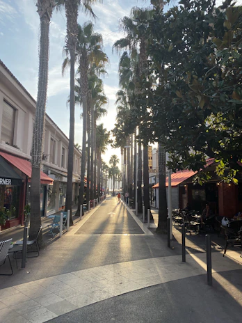 A warm, inviting Mediterranean street scene in Marbella with sunlit cafes and palm trees.