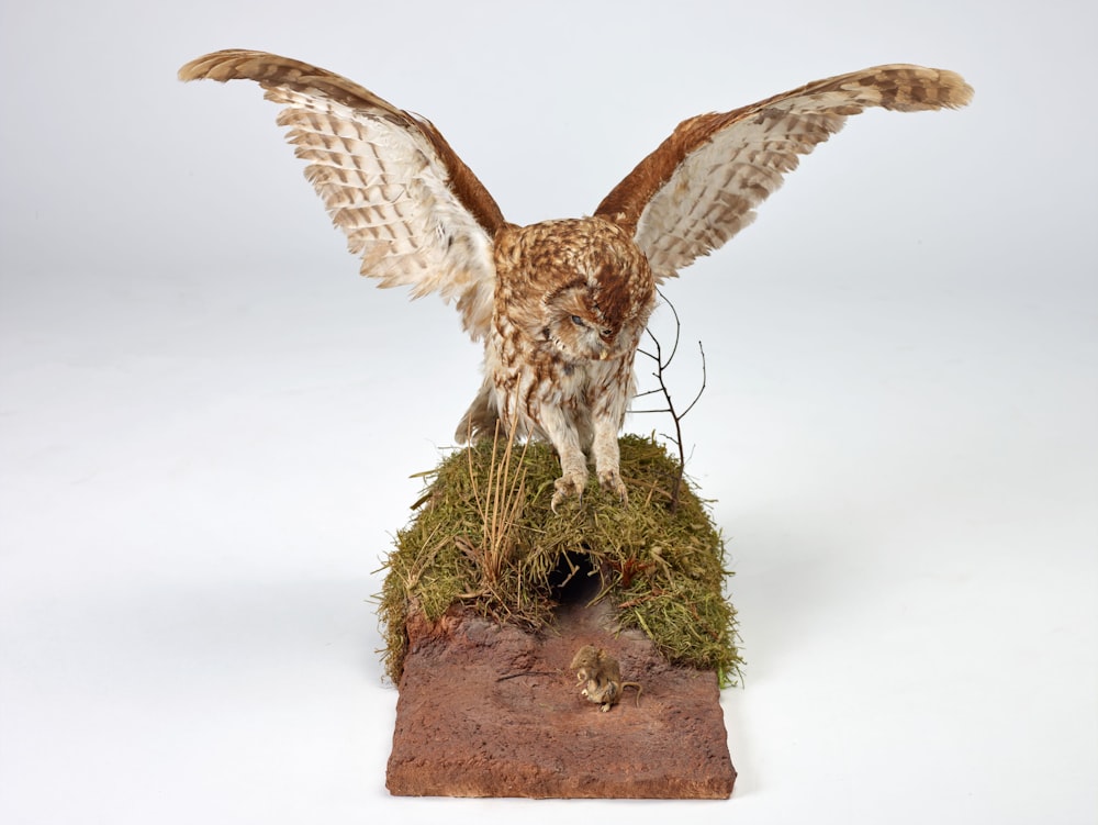a statue of an owl with its wings spread