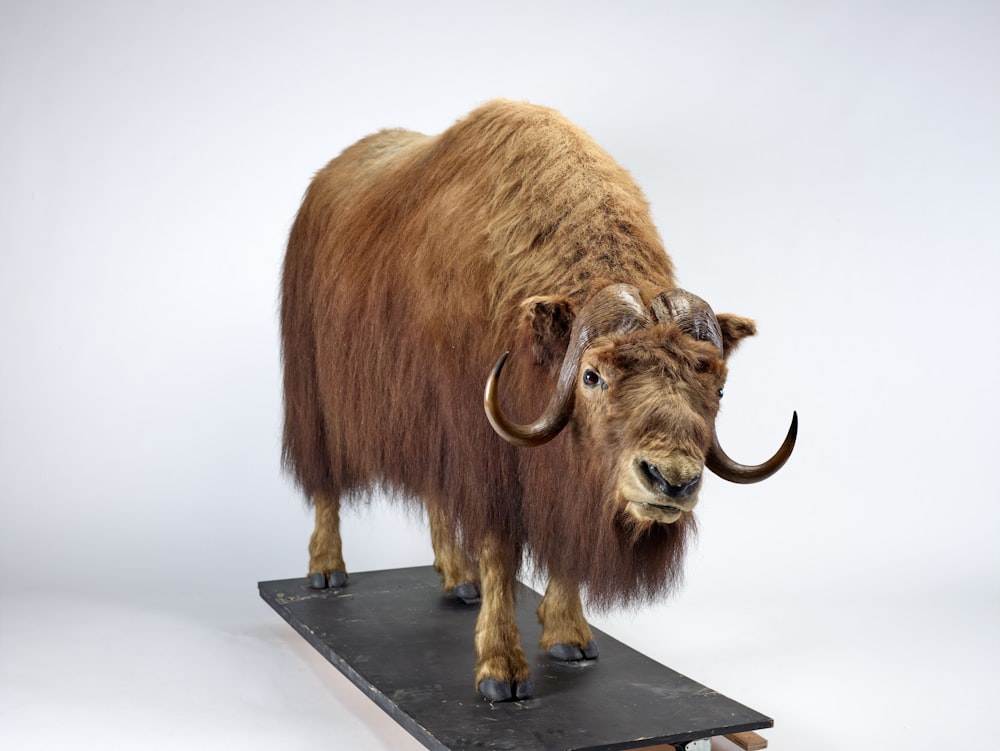 a wooly animal standing on top of a metal stand