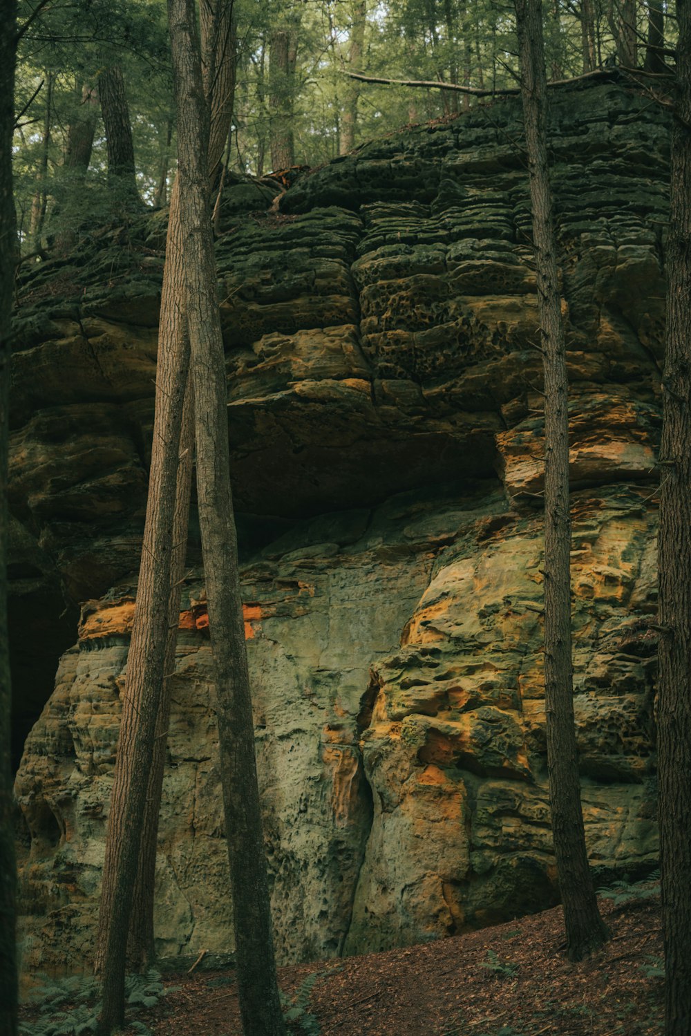 a large rock formation in the middle of a forest