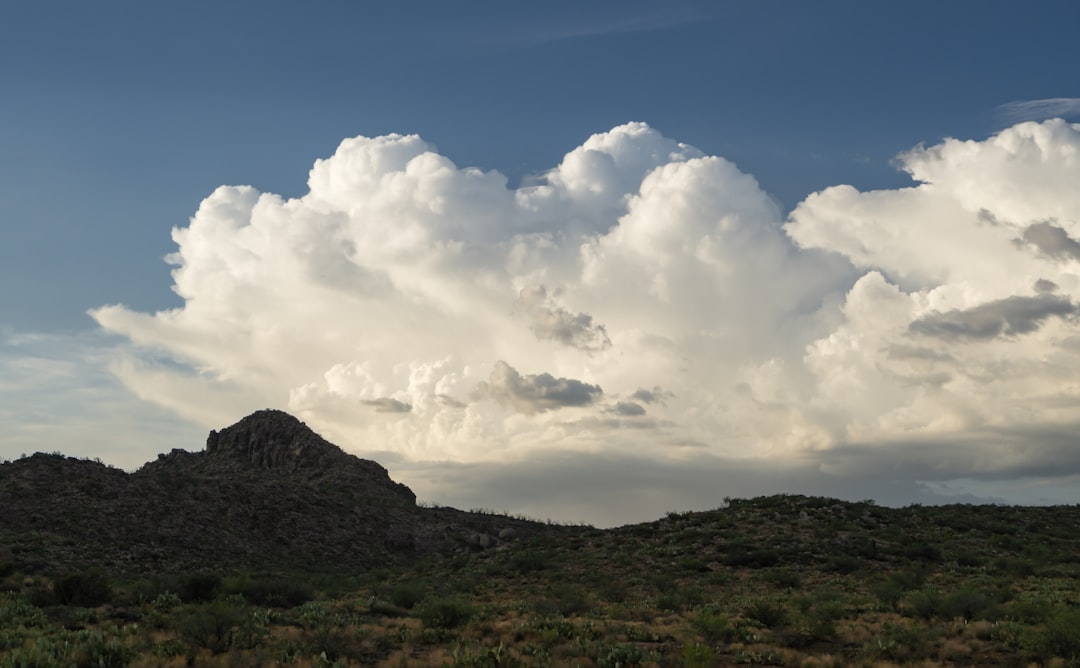 Chasing Sunshine and Tacos: An Insider's Guide to Phoenix's Hot Spo… — Chasing Sunshine and Tacos