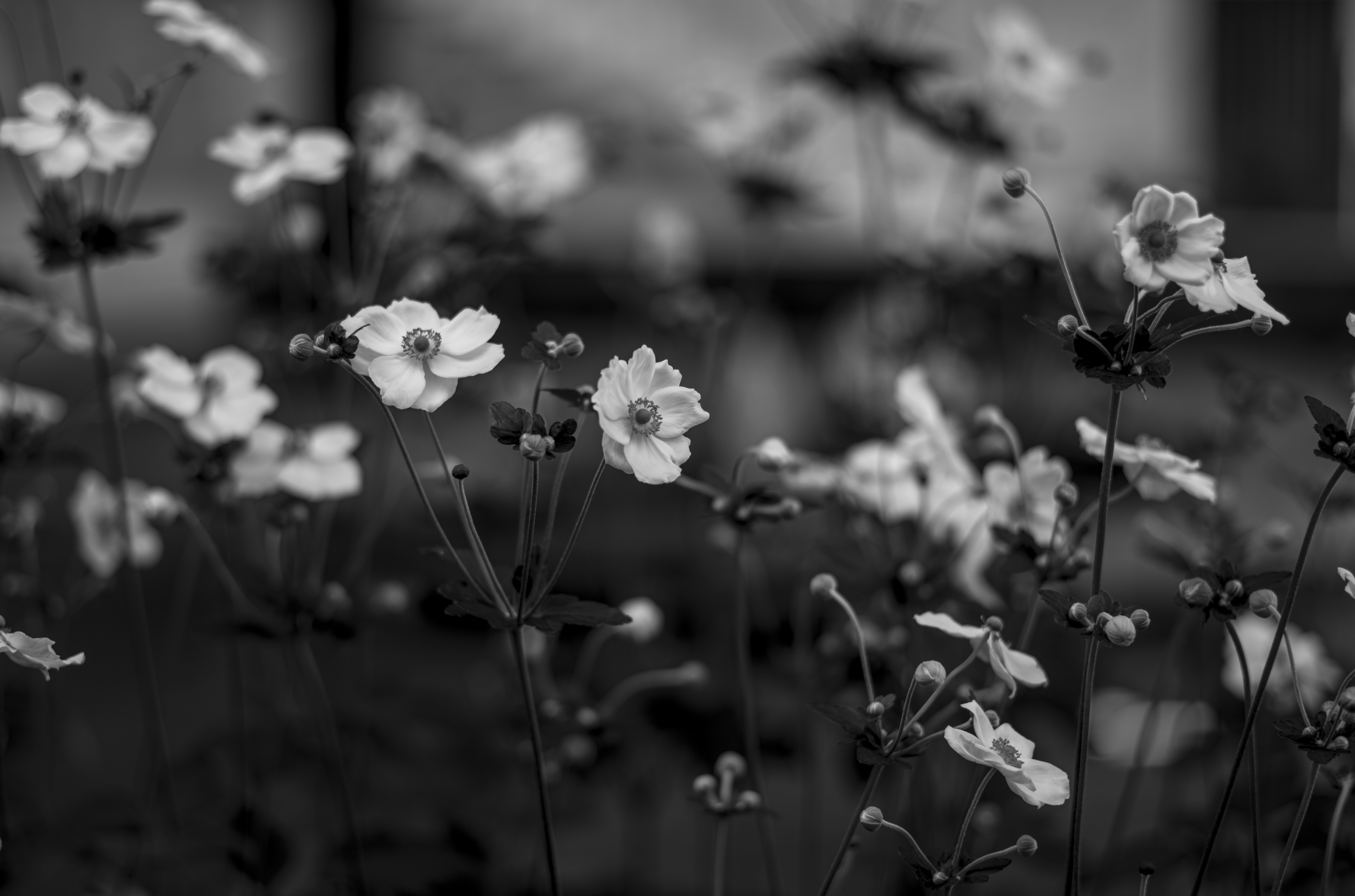 Photo by dieter_muenchen