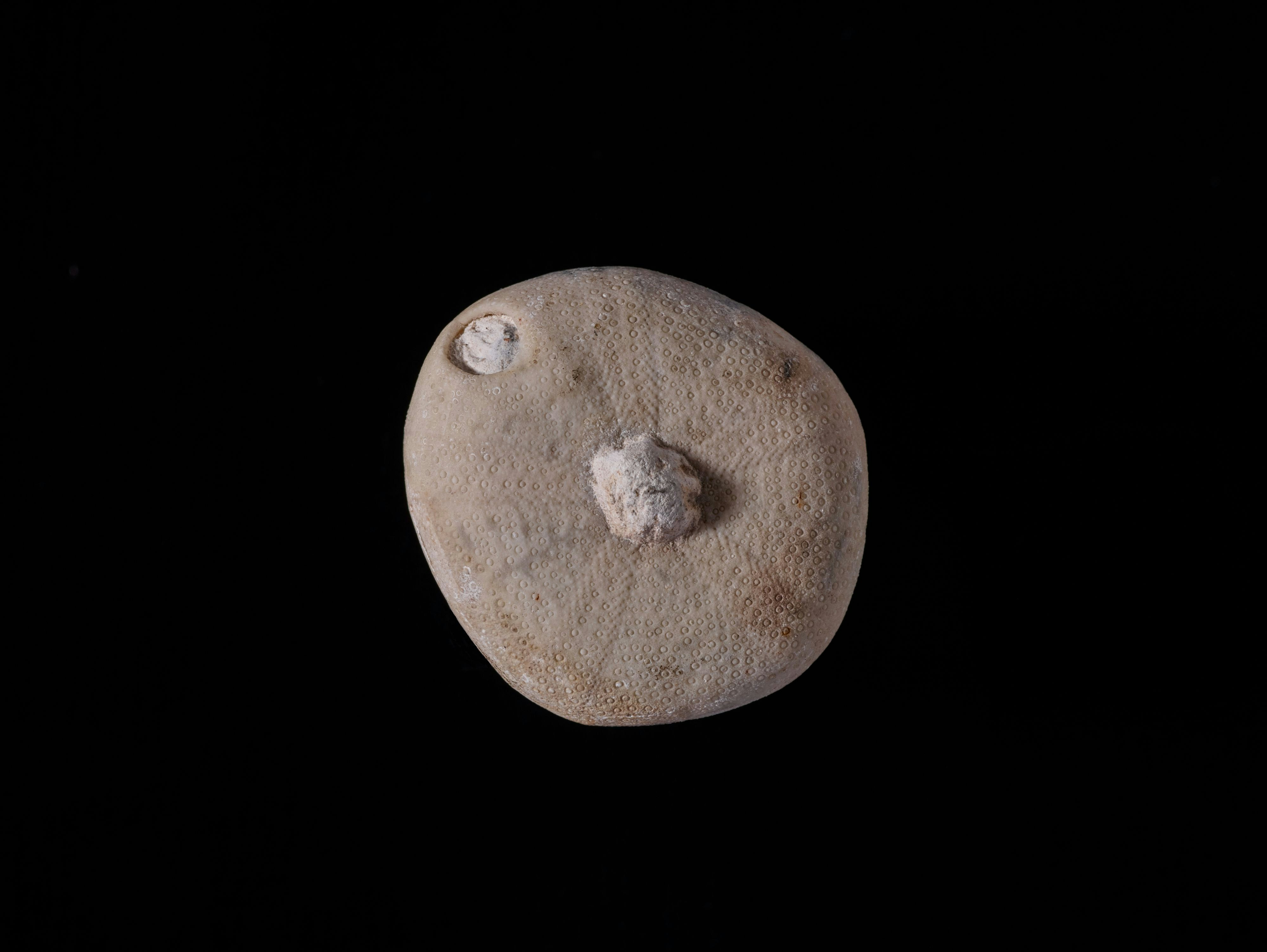 Hubungan Terpaan Iklan dan Citra Merek Teh Pucuk Harum dengan Perilaku Pembelian Konsumen Image