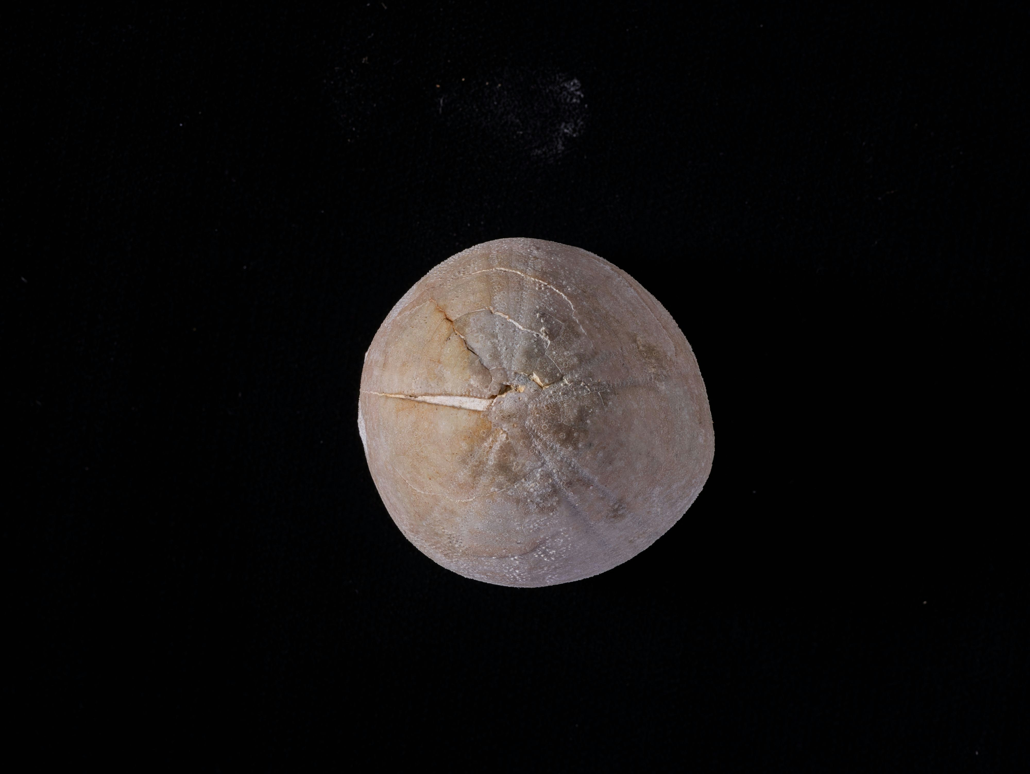 Pengembangan Modul Pembelajaran Fisika Berbasis Saintifik untuk Meningkatkan Keterampilan Berpikir Kritis Siswa Sma/ma Image