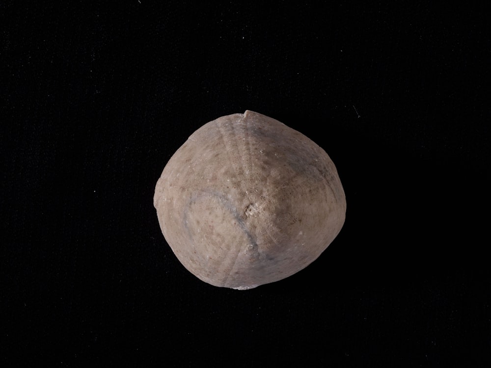 a round object on a black background