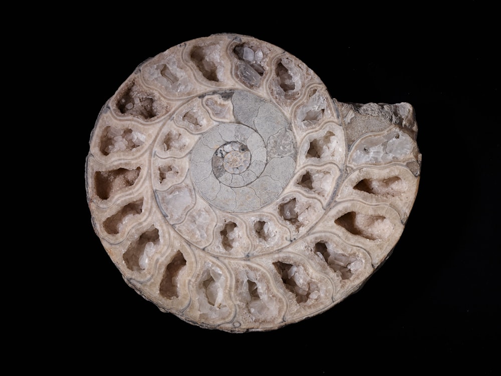 a close up of a stone object on a black background