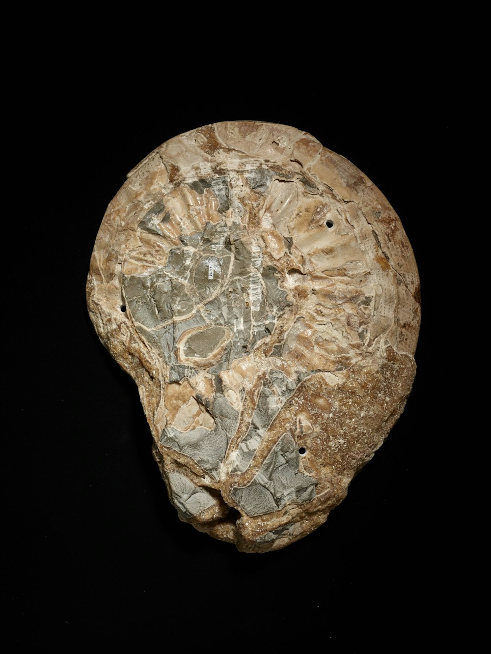 a piece of rock with a black background