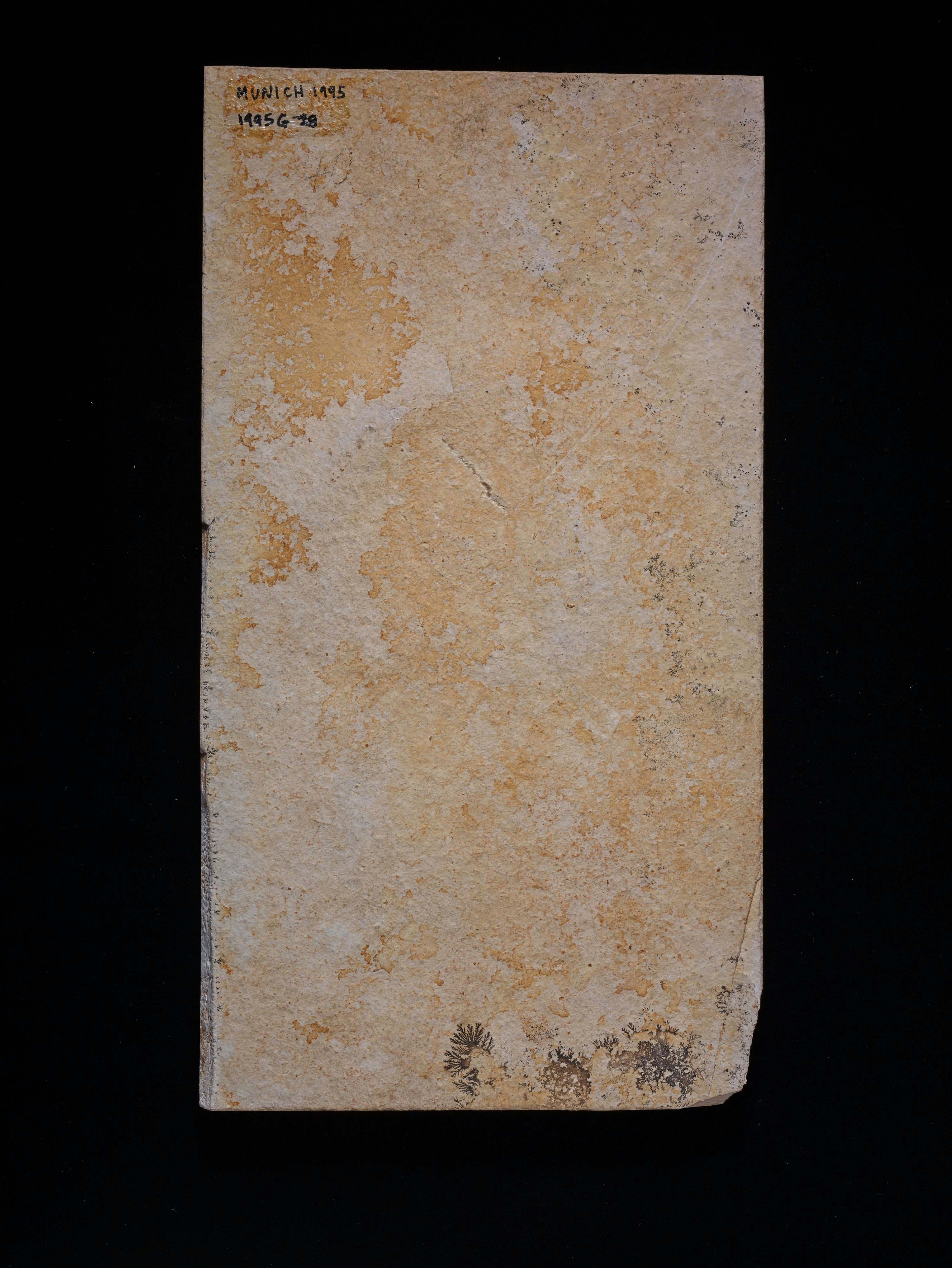 Photo by birminghammuseumstrust