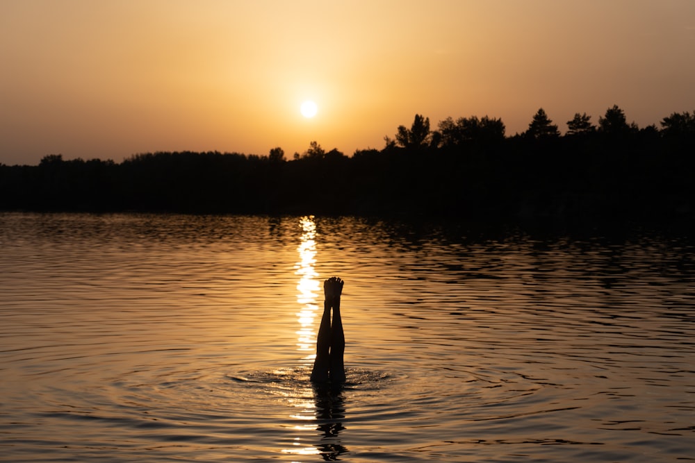 a bottle floating on top of a body of water