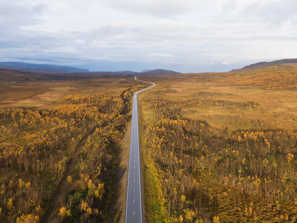 an aerial view of a road in the middle of a field