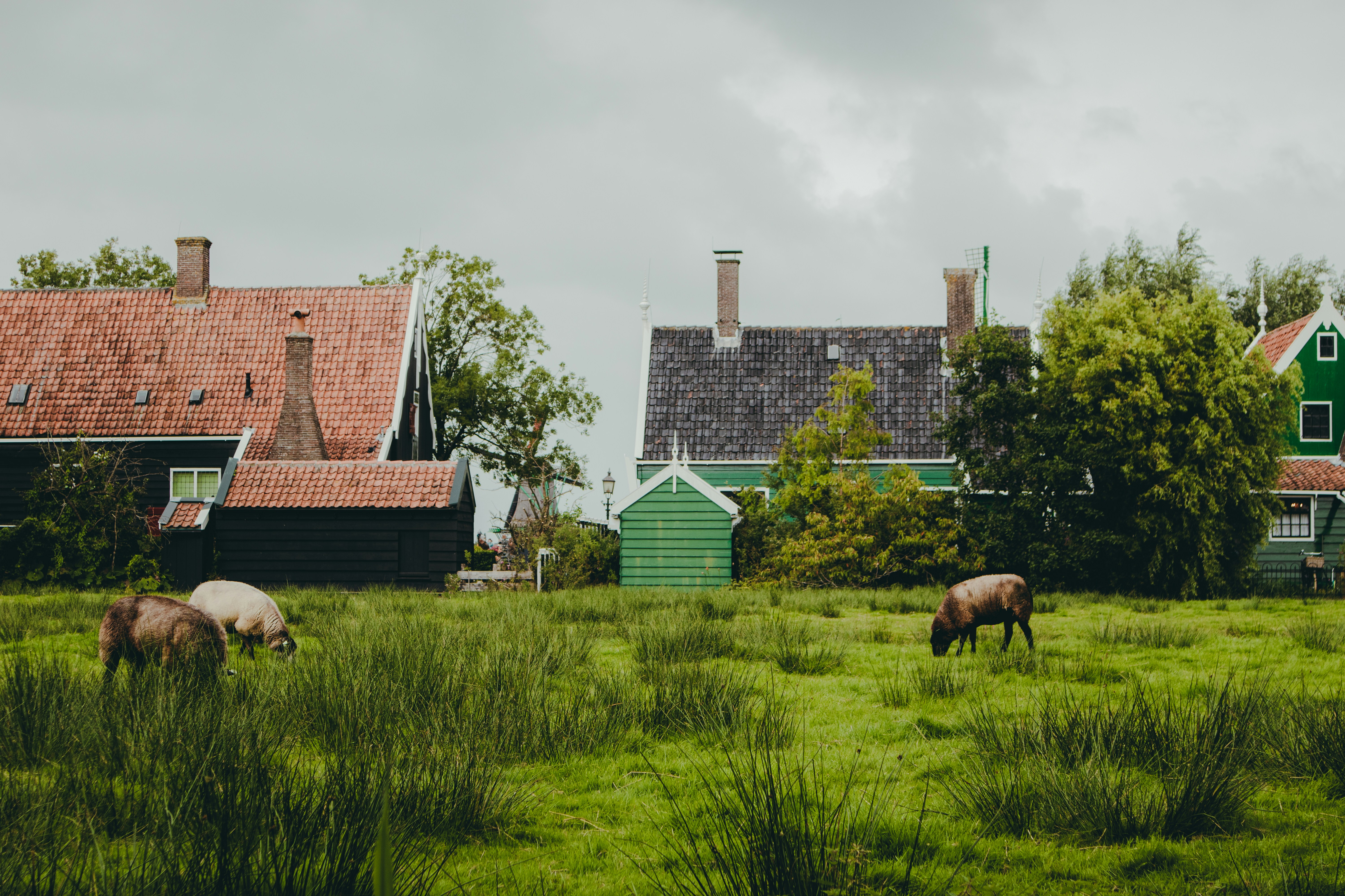 Farmhouse Design Ideas That Blend Modern and Rustic