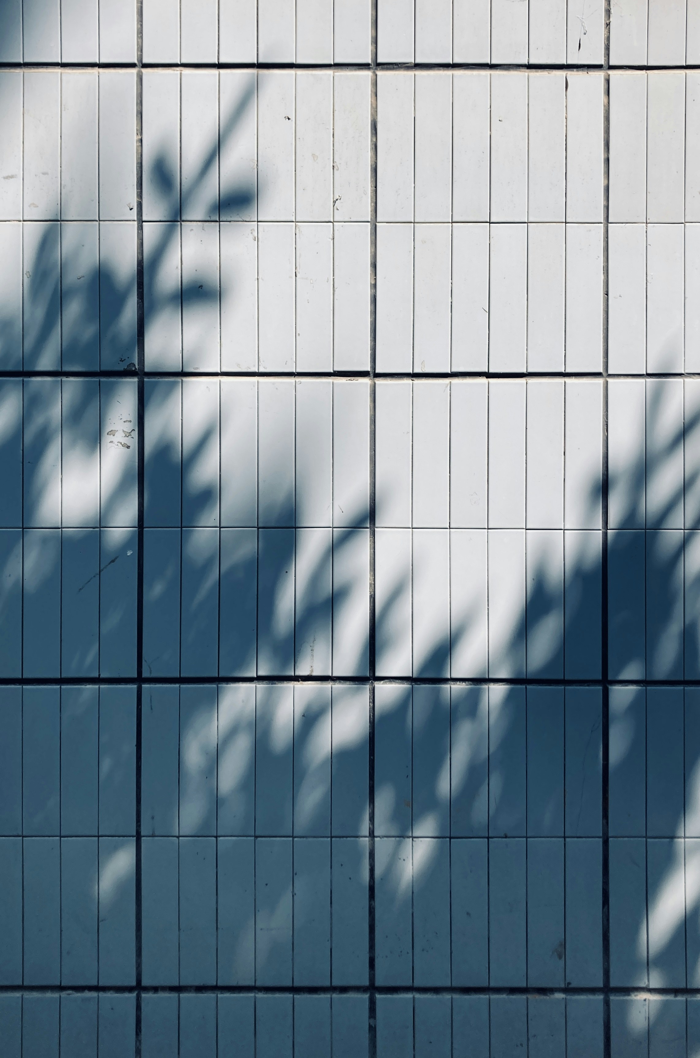 Photo by sunriseking