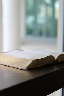 An open book placed on a wooden table surrounded by nature.