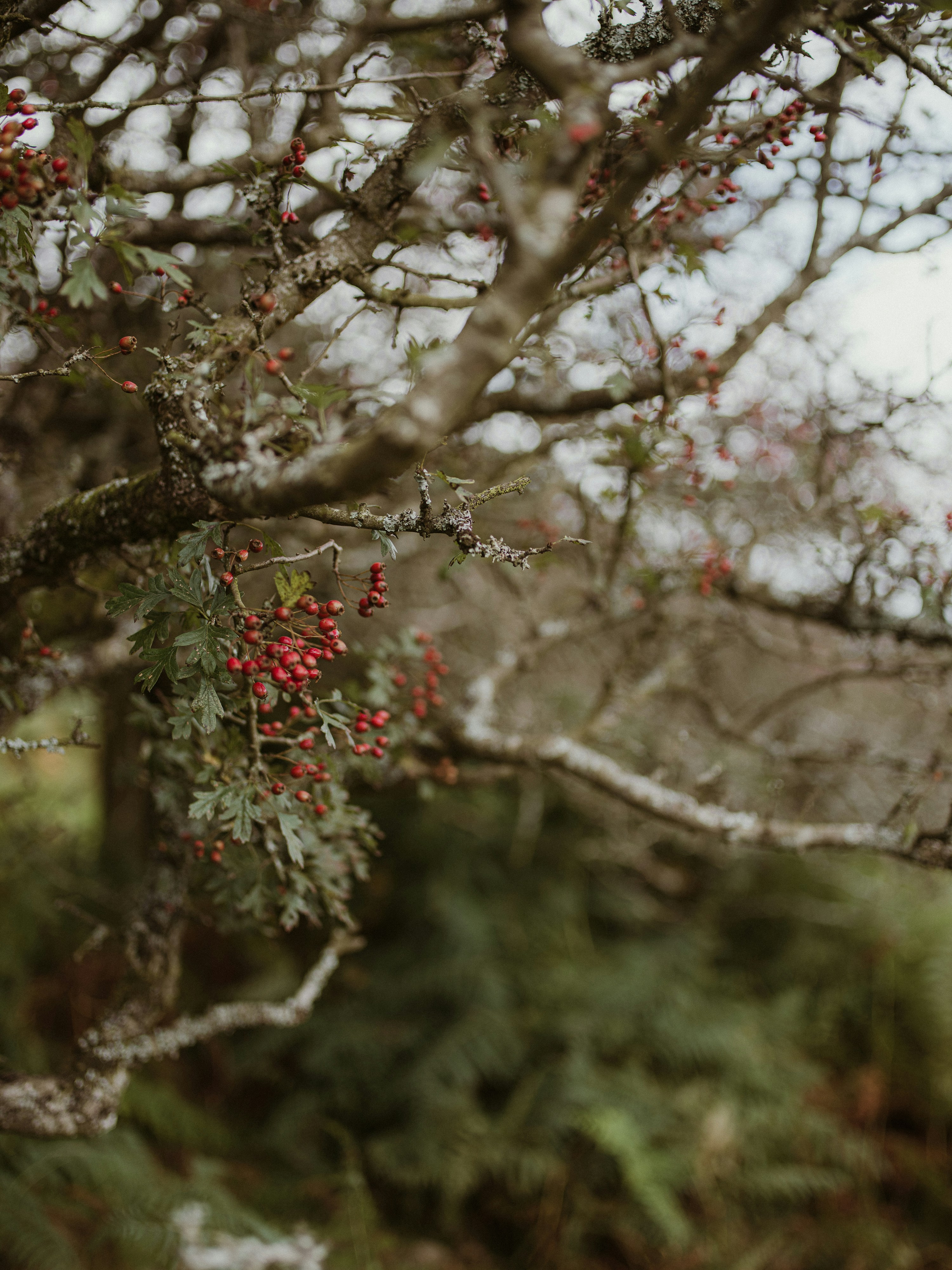 Photo by anniespratt