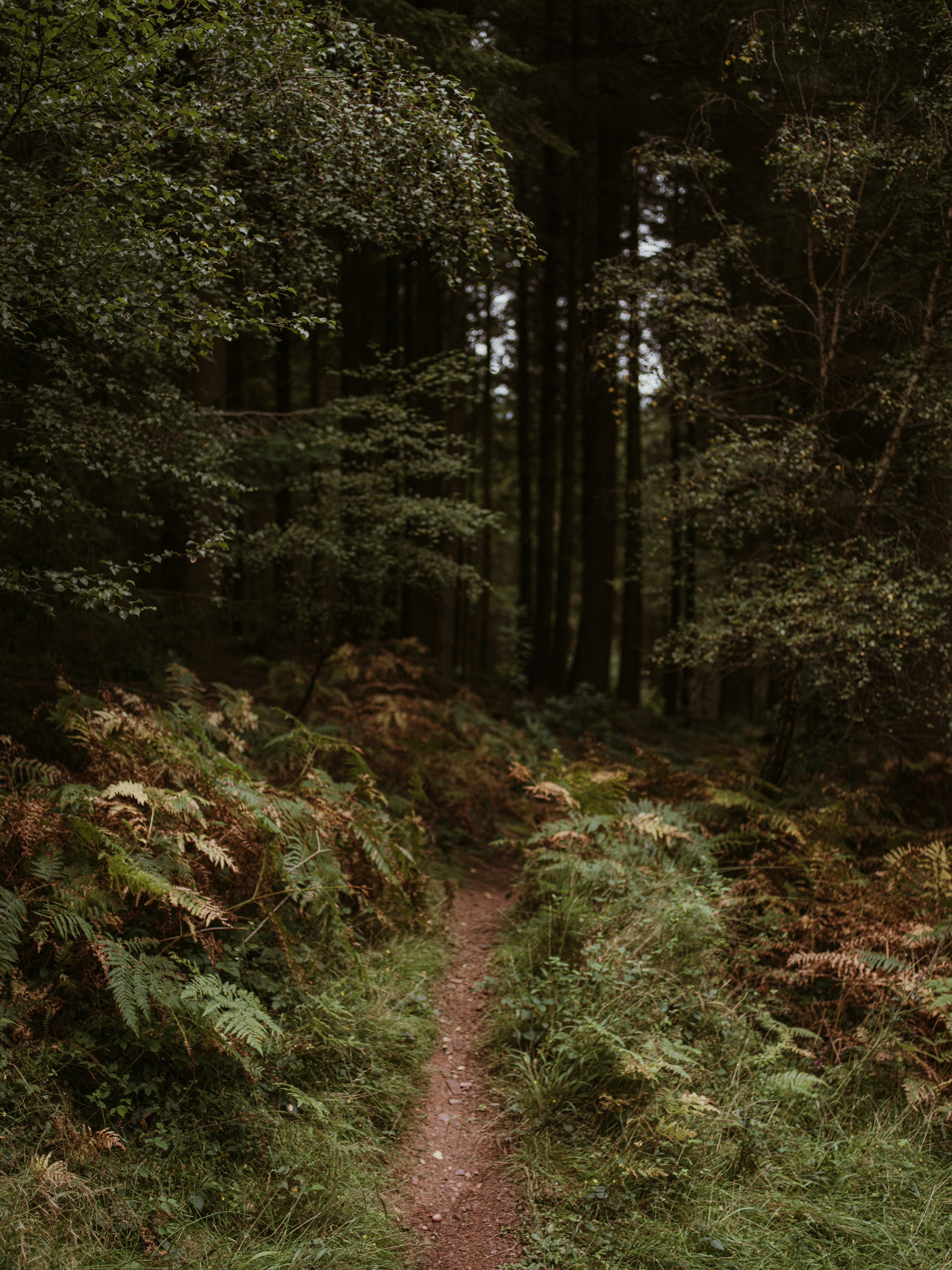 Photo by anniespratt