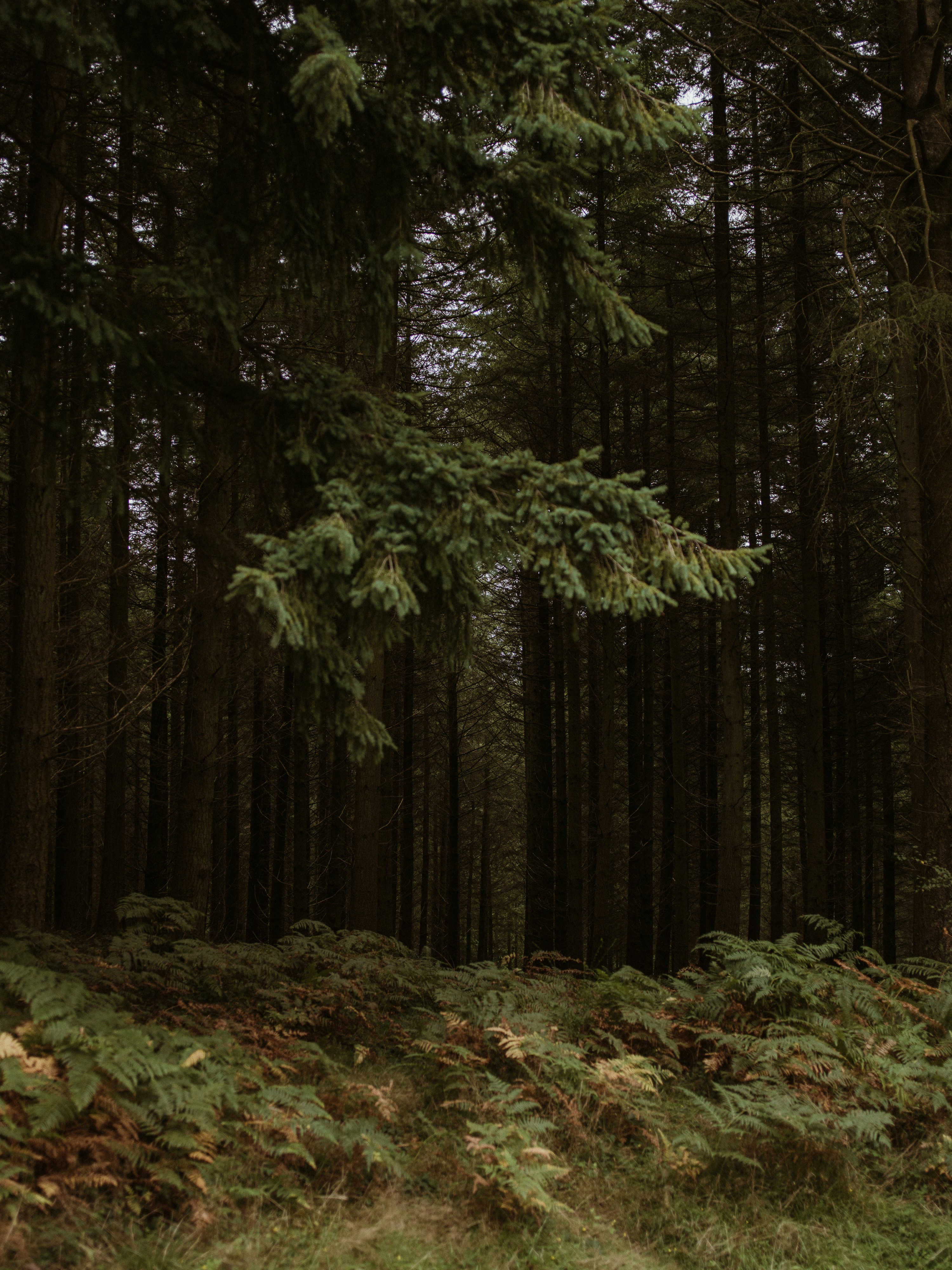 Photo by anniespratt