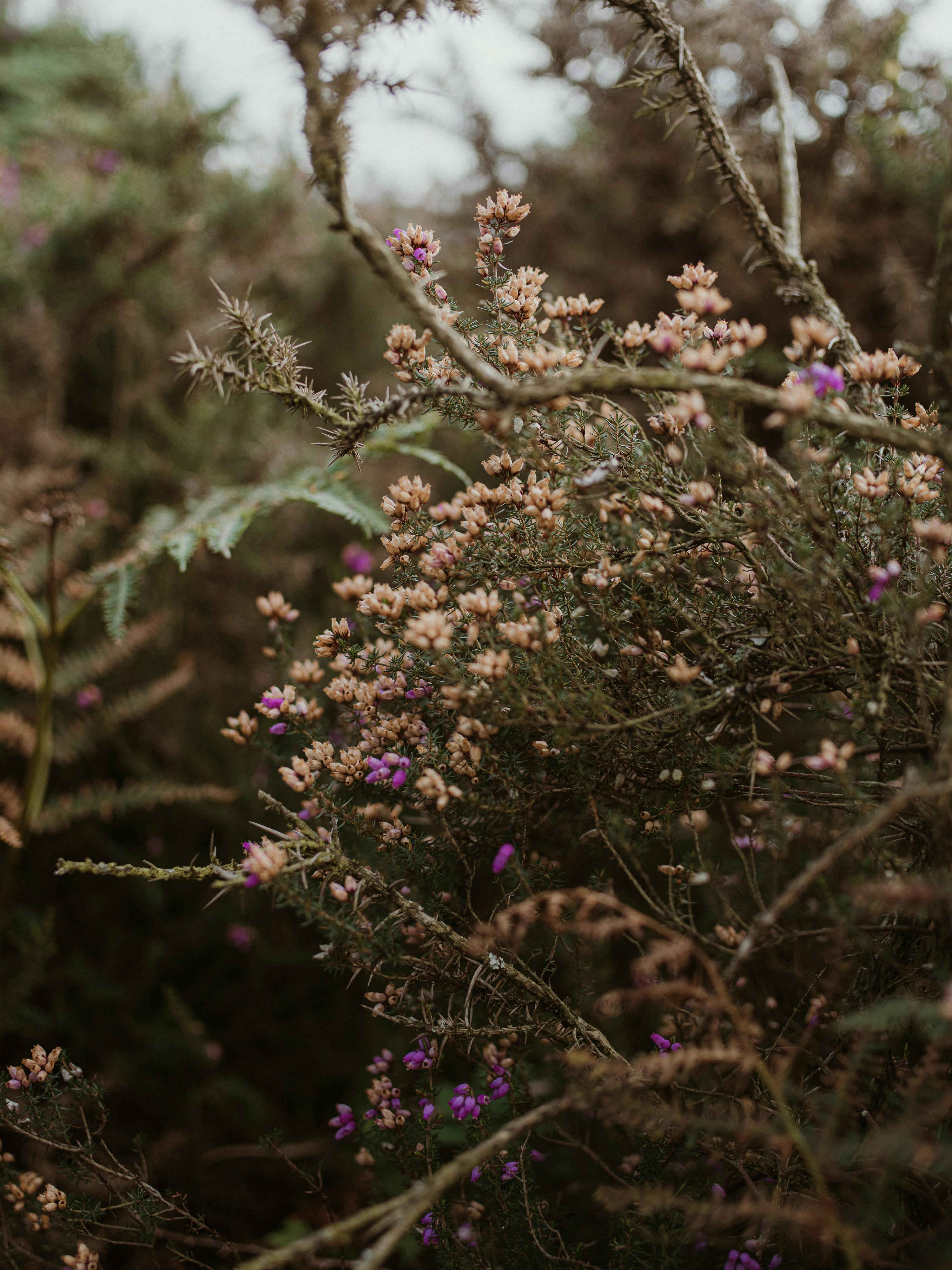 Photo by anniespratt