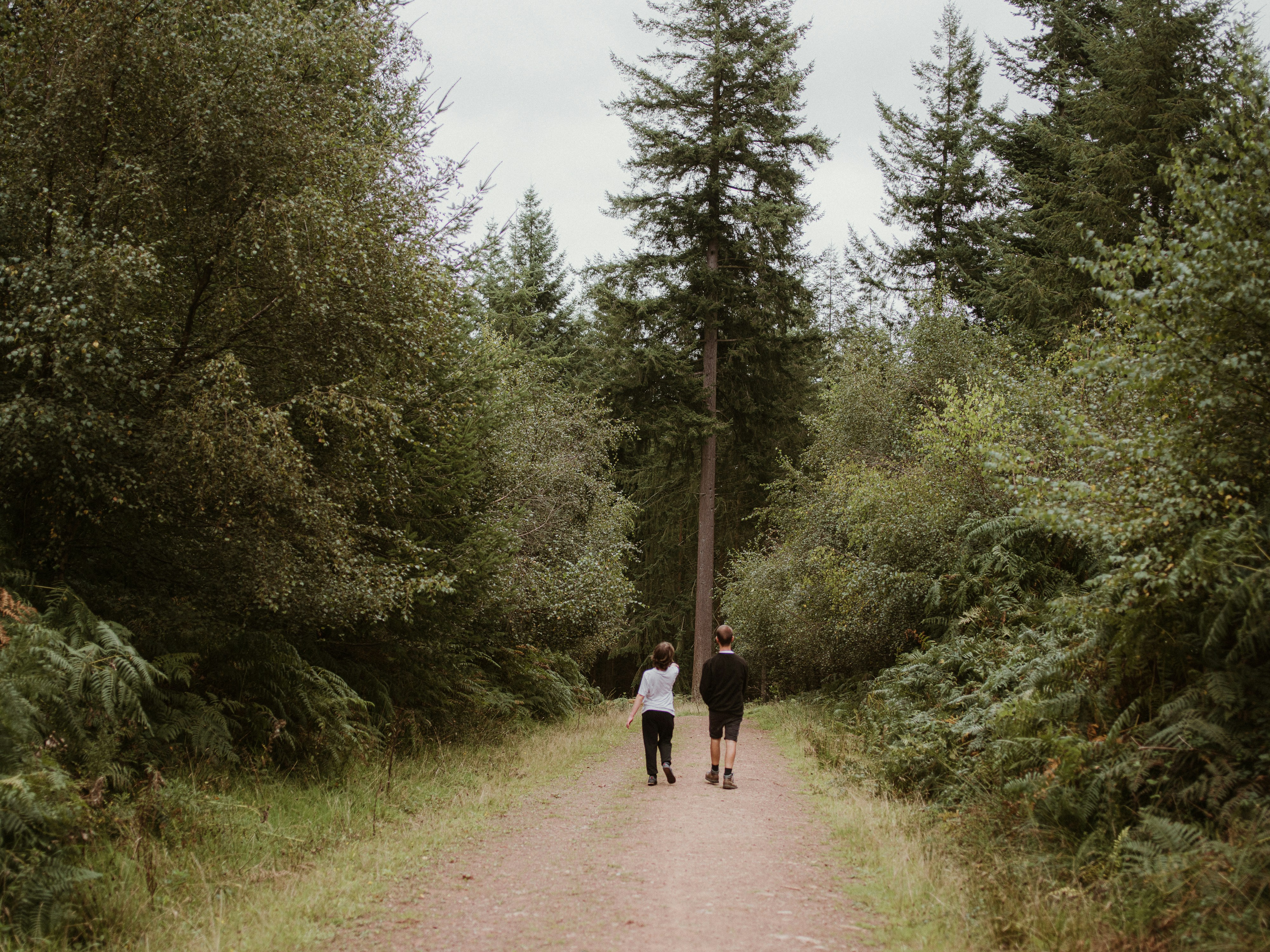 Photo by anniespratt