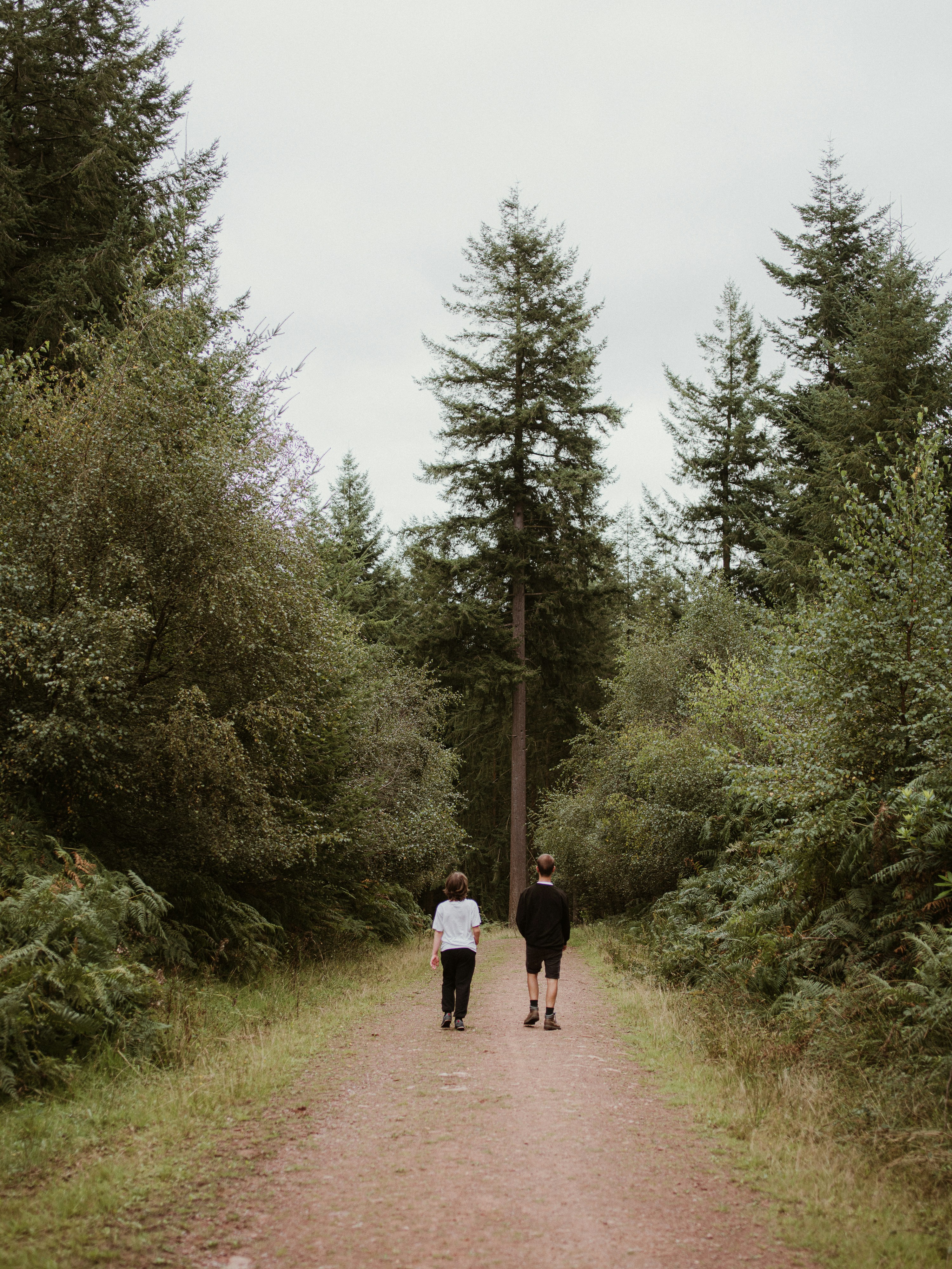 Photo by anniespratt