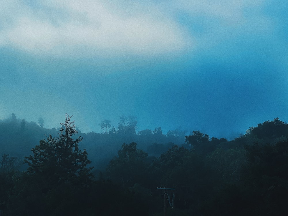 a blue sky with clouds and trees in the foreground