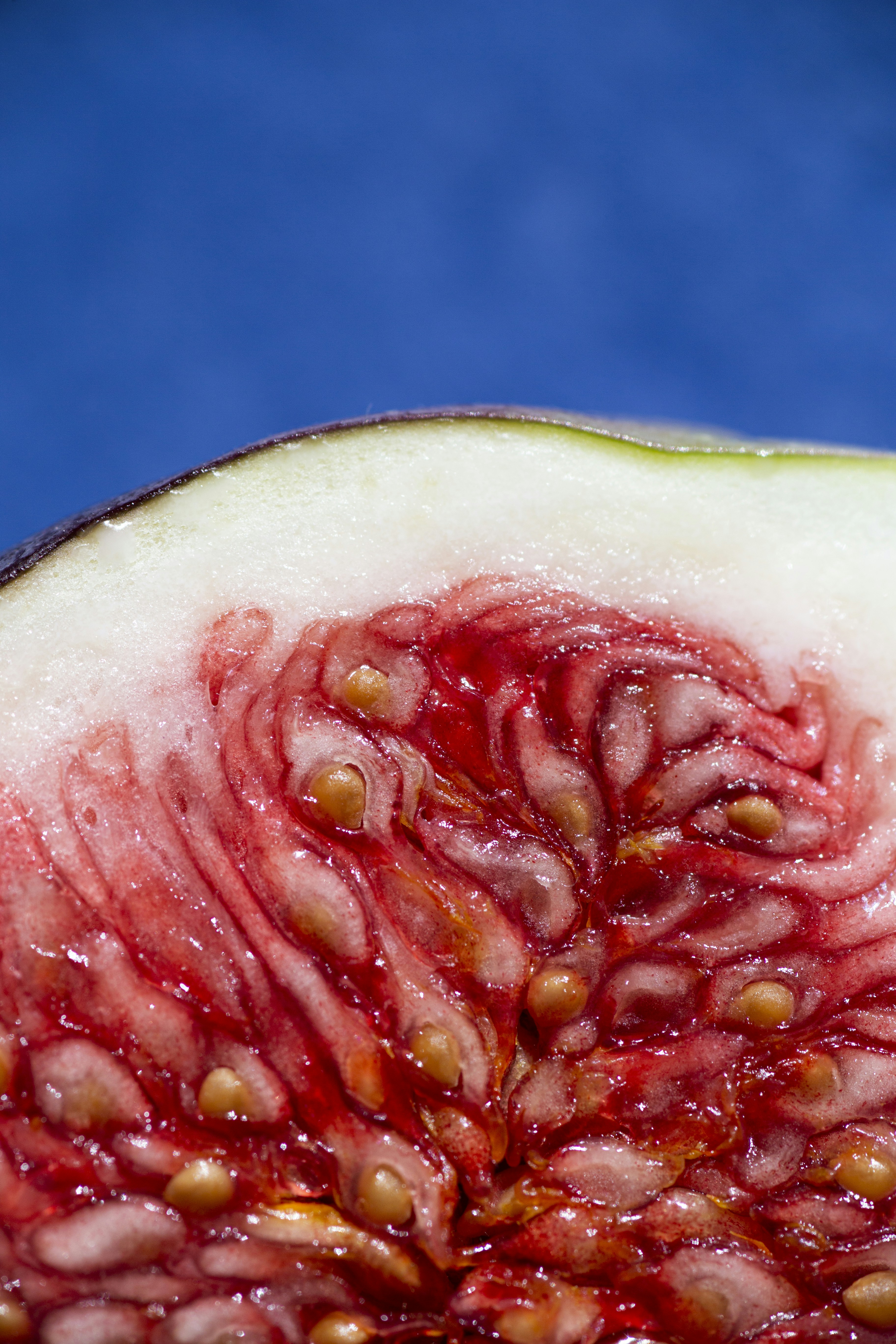 a close up of a watermelon with seeds on it