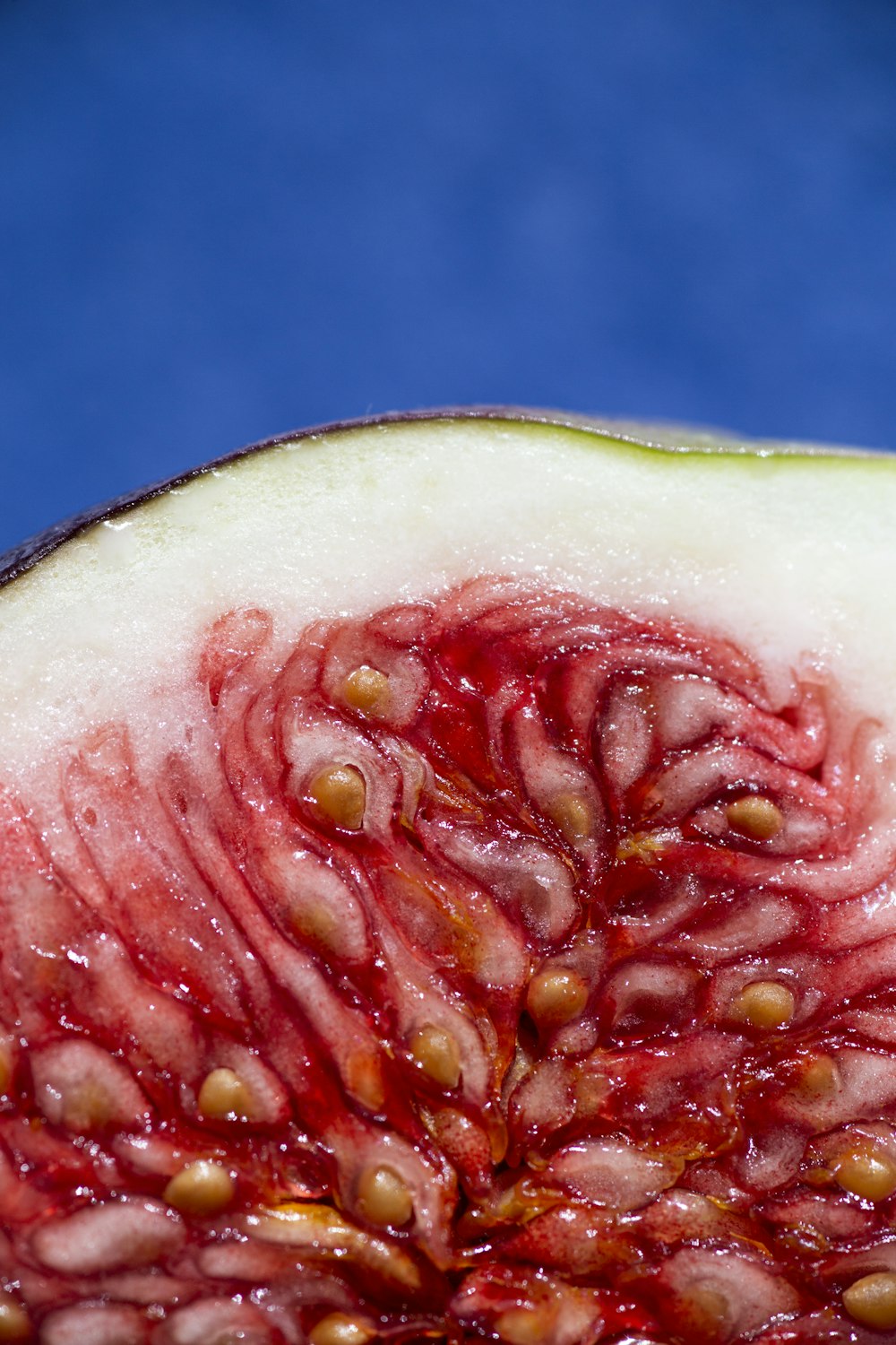 a close up of a watermelon with seeds on it