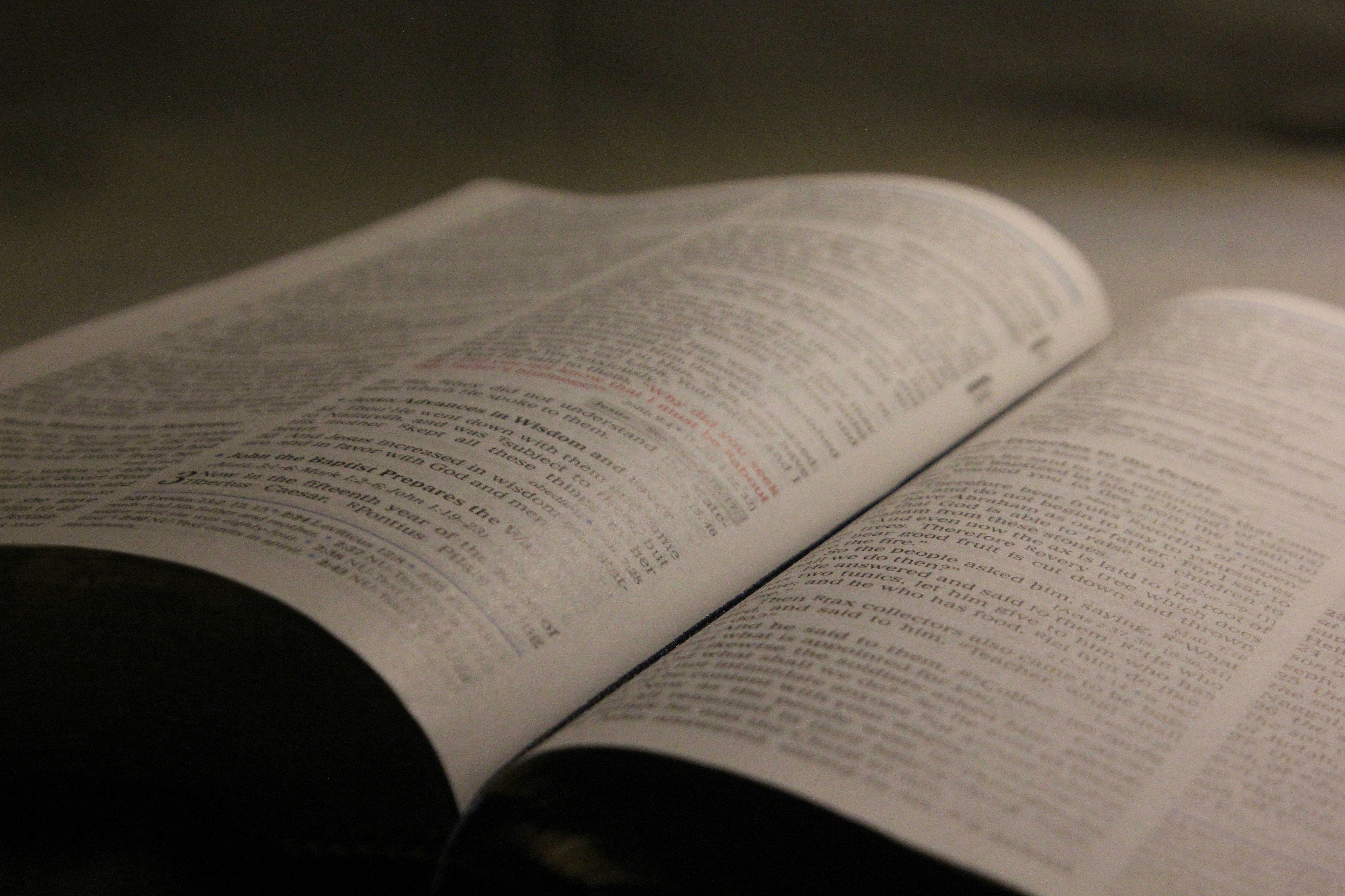 Photo by ezekiel_see