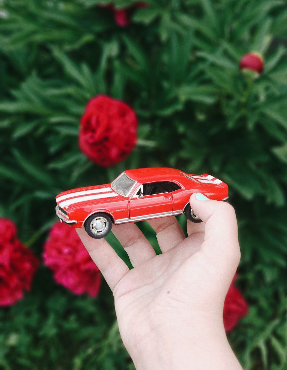a hand holding a red toy car in front of flowers