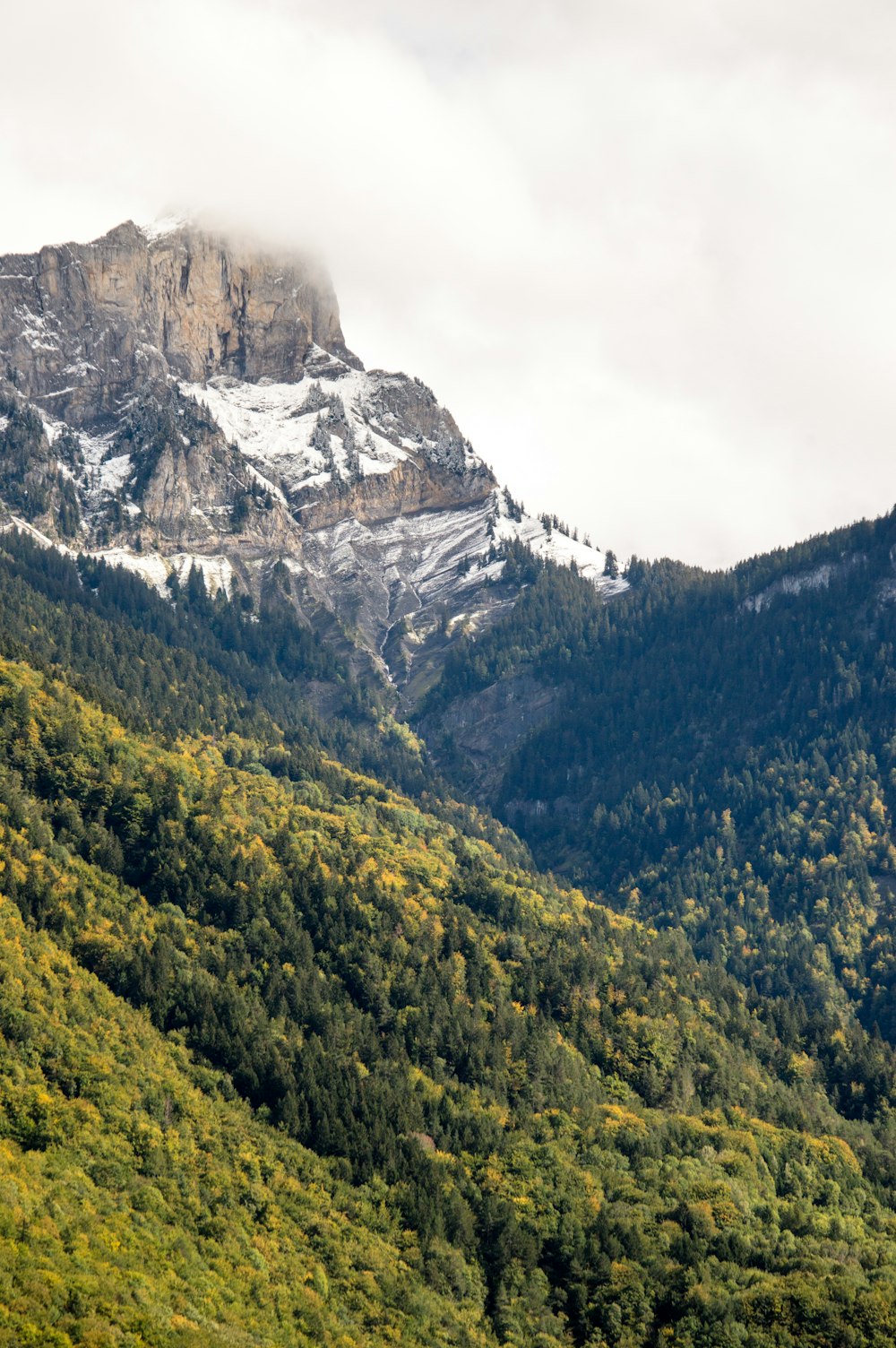 a mountain covered in snow and green trees