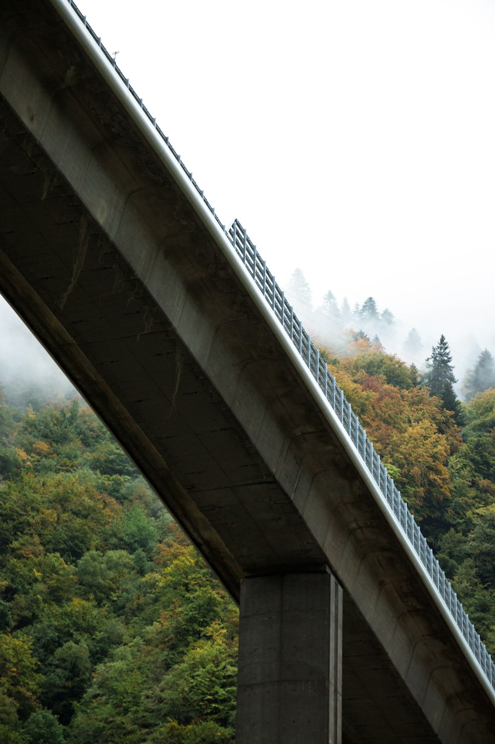 a bridge over a body of water with trees in the background