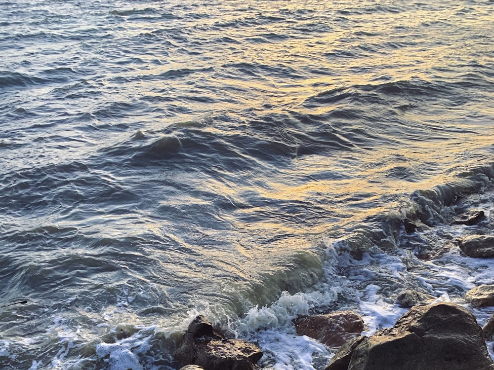 a person sitting on a rock next to the ocean