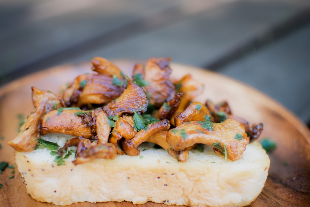 a piece of bread with meat on top of it, Natural food