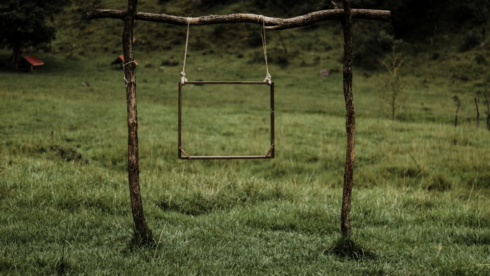 a square frame hanging from a tree in a field
