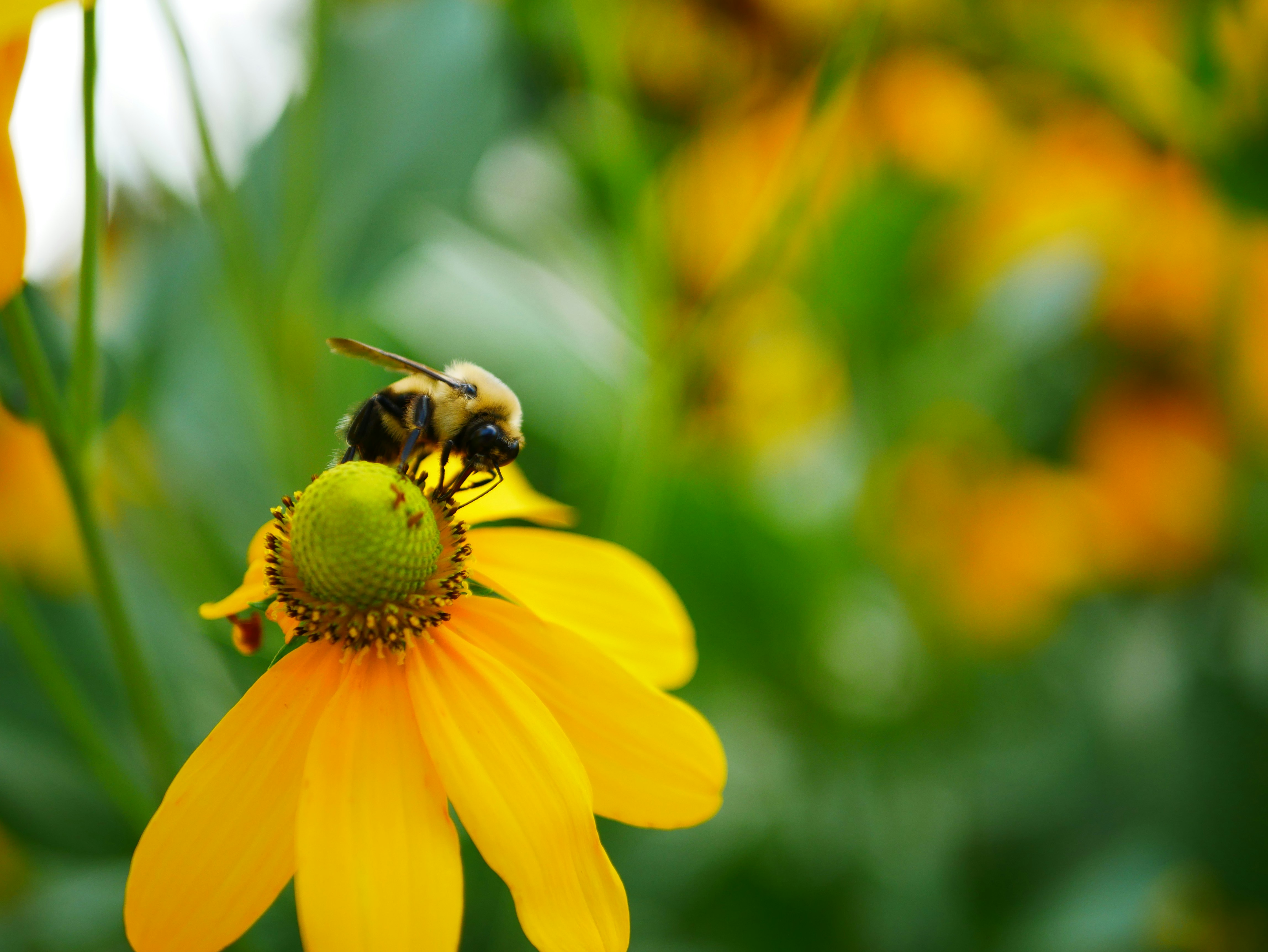 Photo by talithamein06