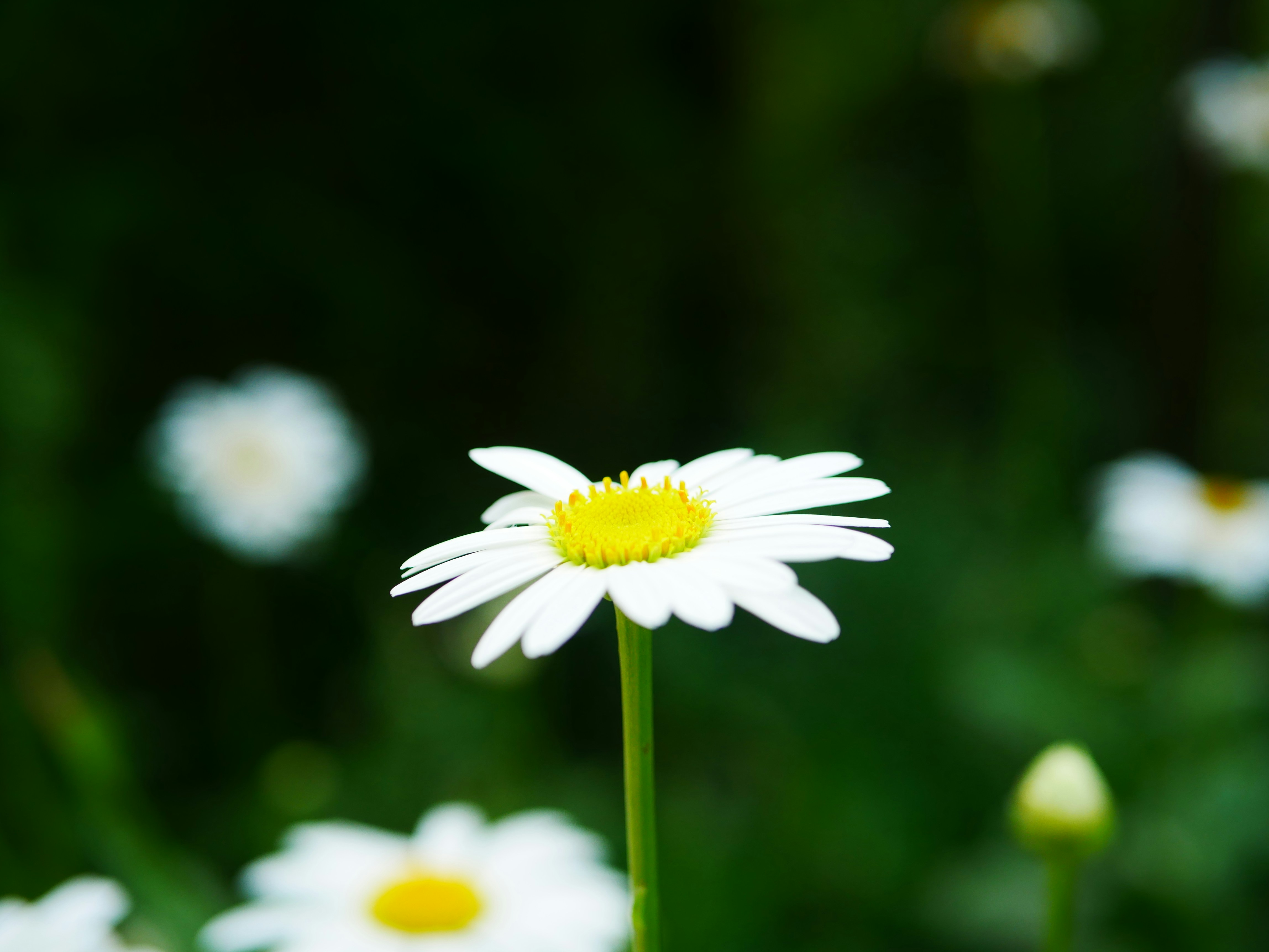 Photo by talithamein06