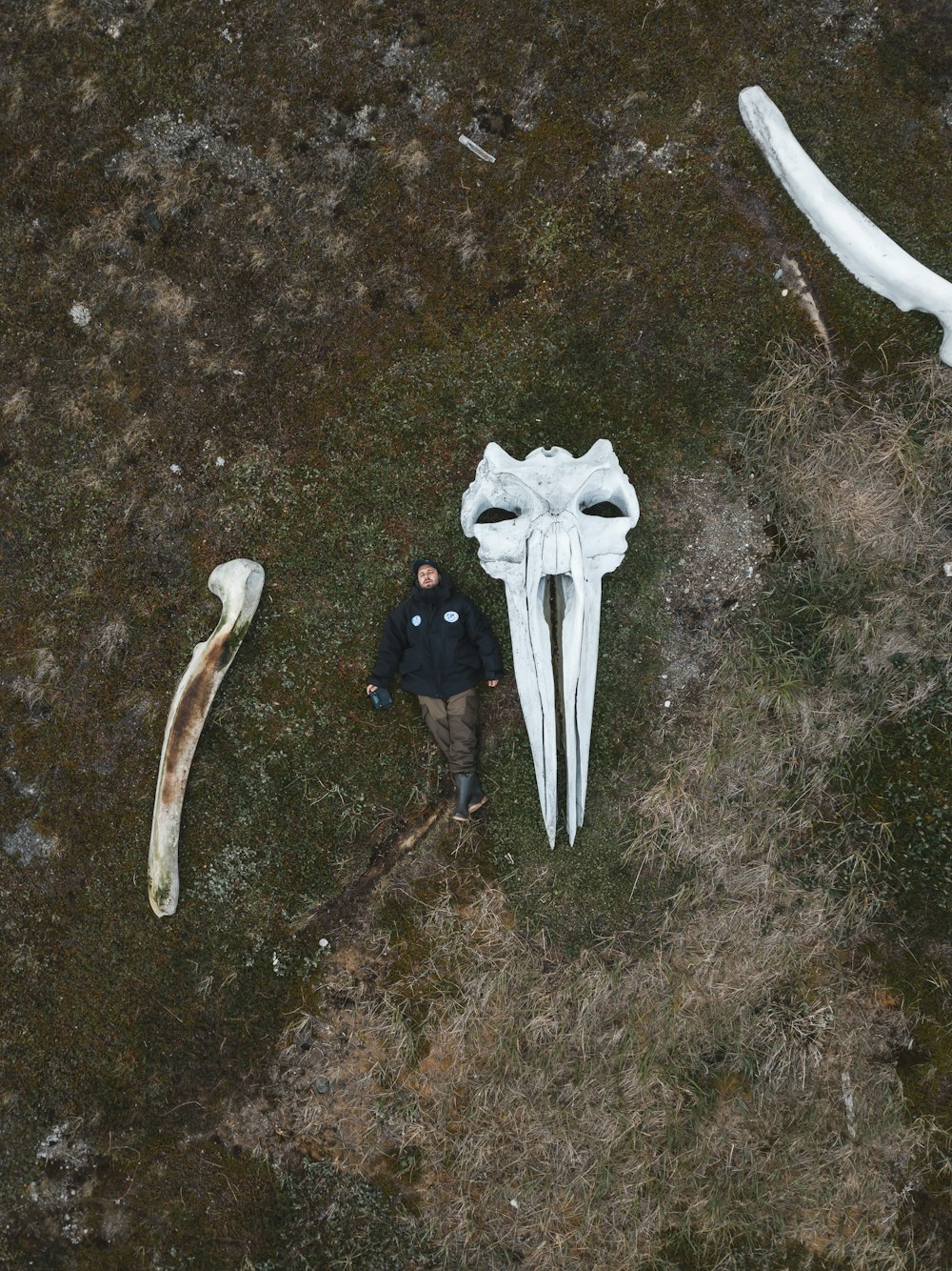 a person standing next to a large white object